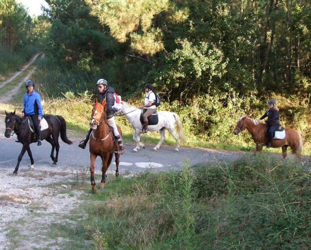 Ruta entre caminos rurales